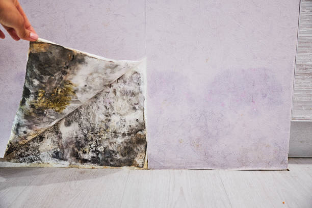 Water Damage Restoration in Watervliet, NY